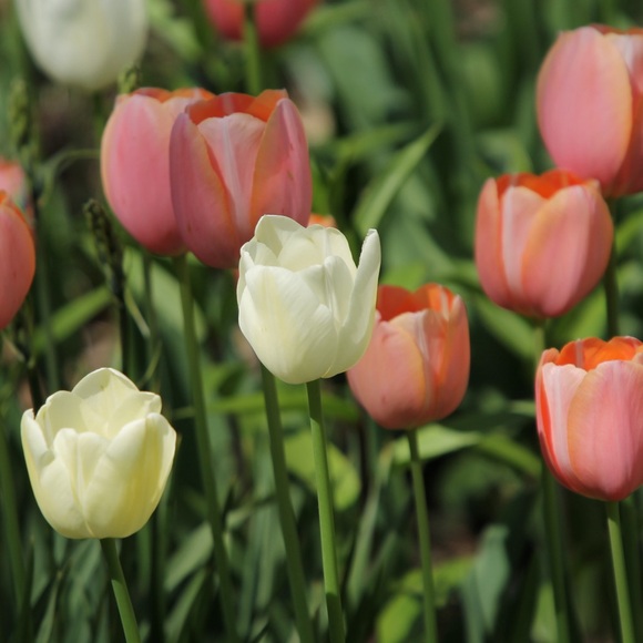 Nice to meet you, I’m Paige! - Picture 4 of 6